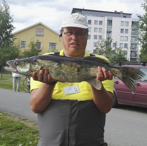 Sepon kuha